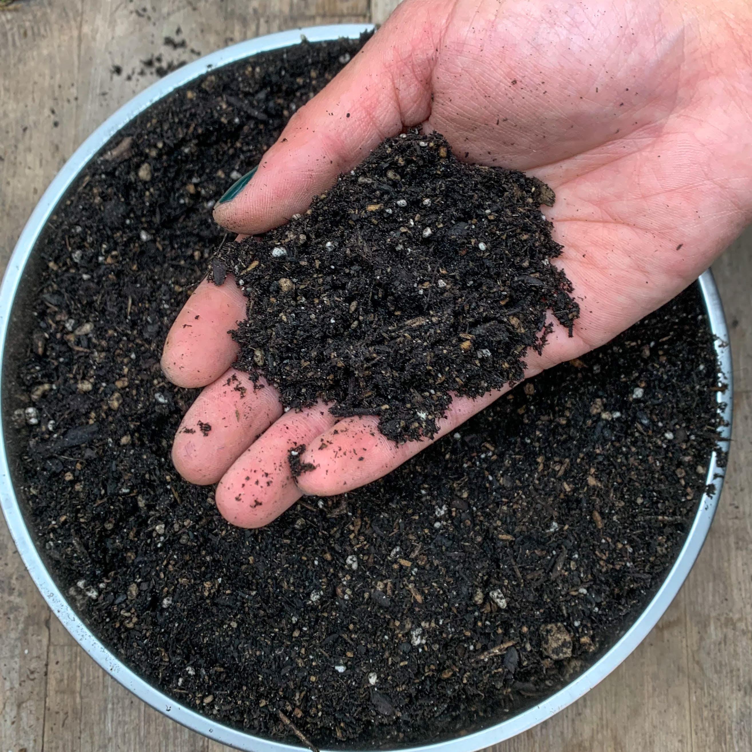 Jacksonville Compost / Potting Soil