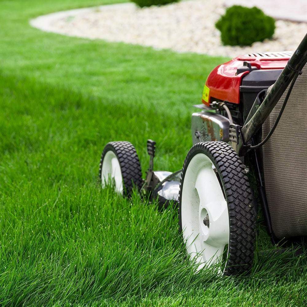 Jacksonville Lawncare Package Green