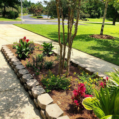 Jacksonville - Green Lawncare Package - $180 Monthly - ProGreen Services