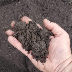 Jacksonville - Fill Dirt - ProGreen Services