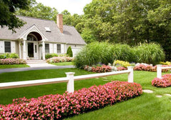 ProGreen Services | Jacksonville's Lawn & Landscaping Company