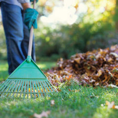 Jacksonville - Lawn Cleanup Package - ProGreen Services