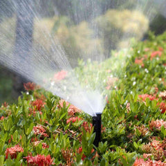 Jacksonville - Sprinkler System Tune Up - ProGreen Services