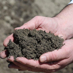 Jacksonville - Compost / Potting Soil - ProGreen Services